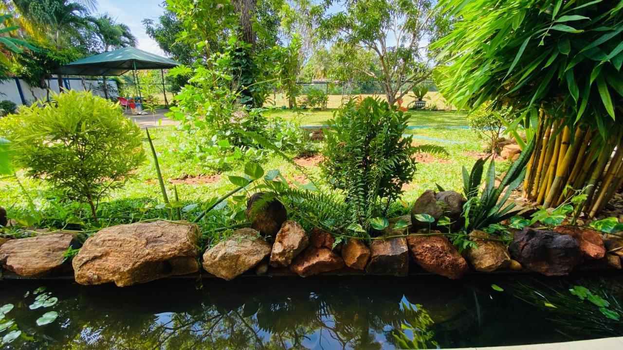 Owin Rose Yala Safari Hotel Tissamaharama Exteriör bild