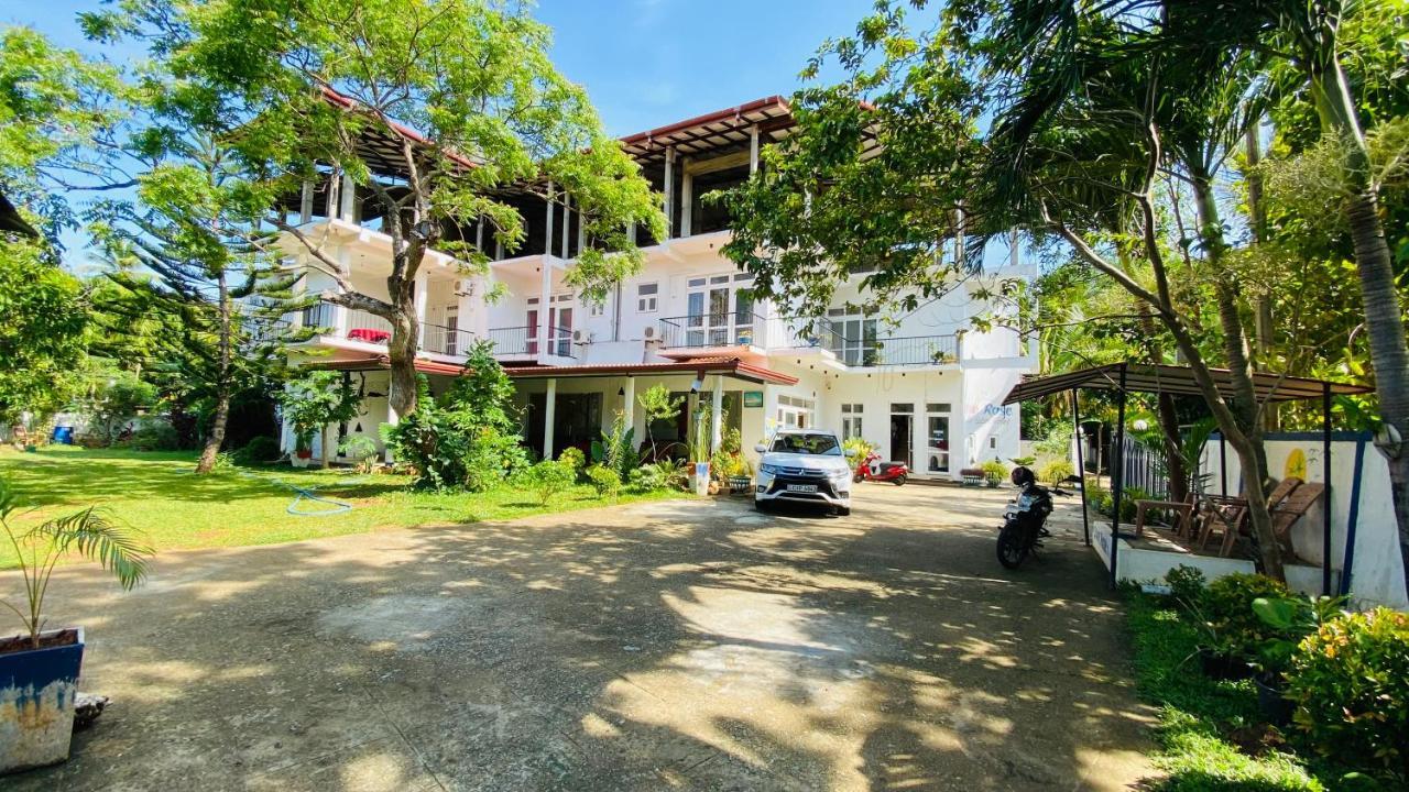 Owin Rose Yala Safari Hotel Tissamaharama Exteriör bild
